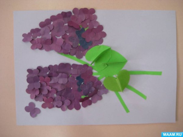 Аппликация сирень в средней группе