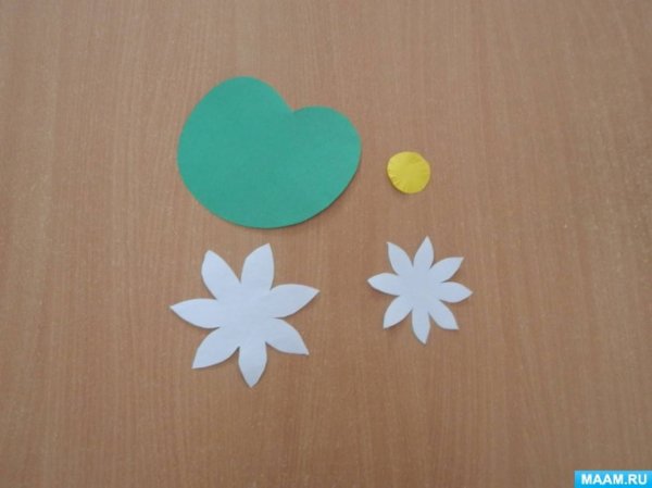 Аппликации кувшинки в средней