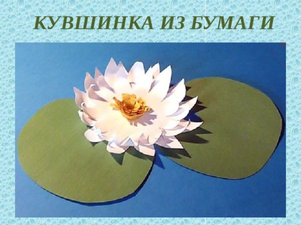 Кувшинка из бумаги своими руками