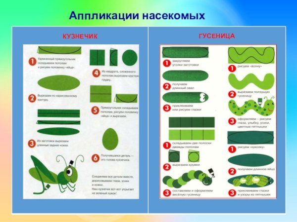 Схемы аппликаций насекомых