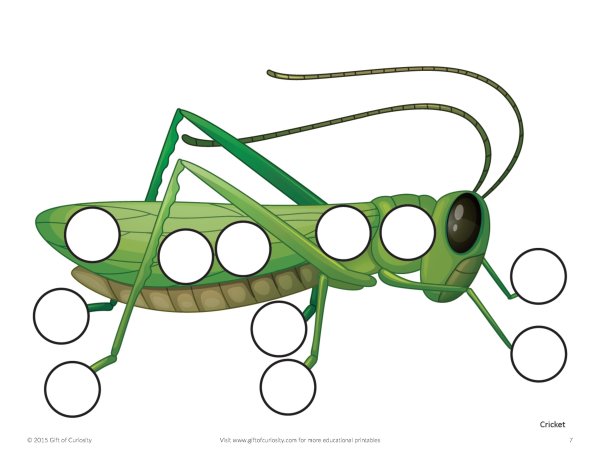 Кузнечик рисунок