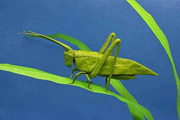 Бумажный кузнечик