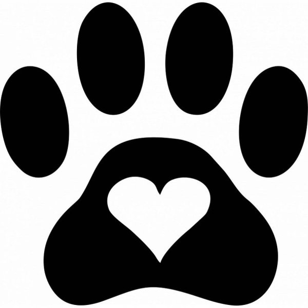 Собачья лапка