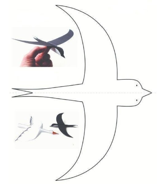 Трафарет птицы для аппликации