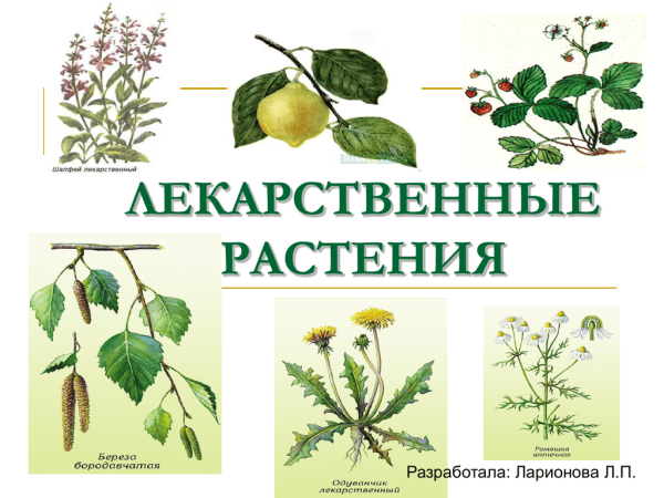 Аппликация лечебные травы