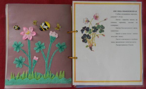 Аппликация лекарственные растения