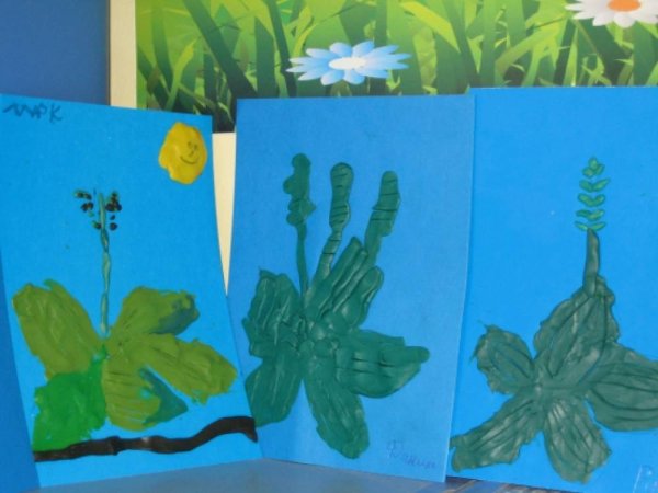 Рисование с детьми лекарственные растения