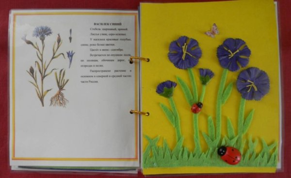 Книжка малышка про цветы