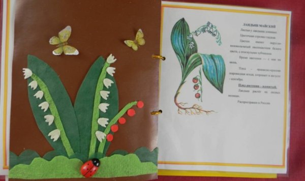 Книжка малышка про растения