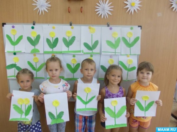 Рисование лекарственные растения в средней группе