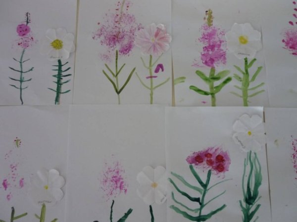 Рисование лекарственные растения в старшей группе