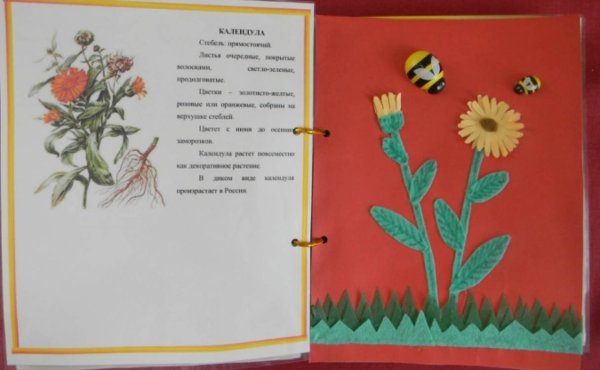 Книжка малышка про цветы