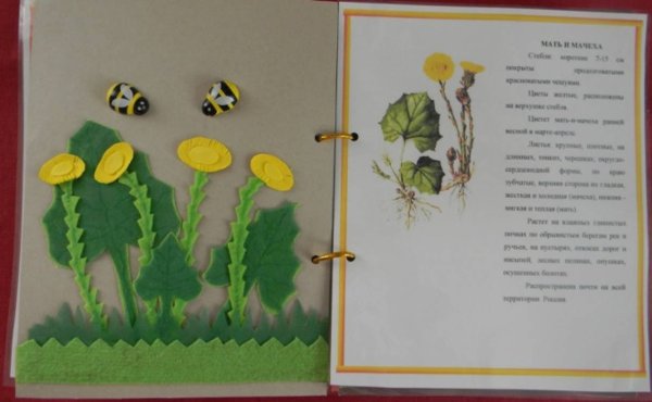 Книжки малышки про растения