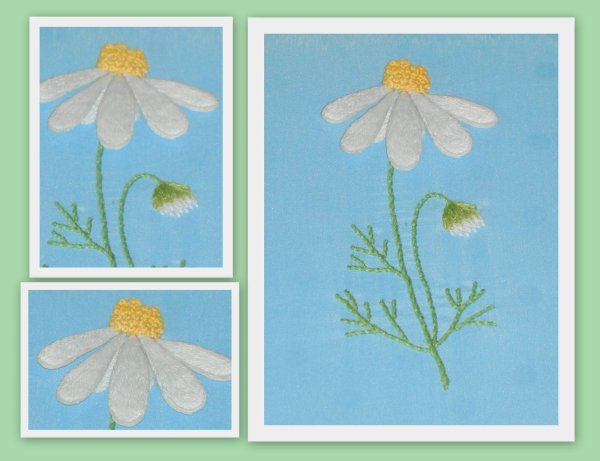 Аппликация Ромашка в старшей группе