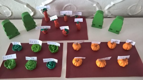 Лепка овощи и фрукты в старшей группе