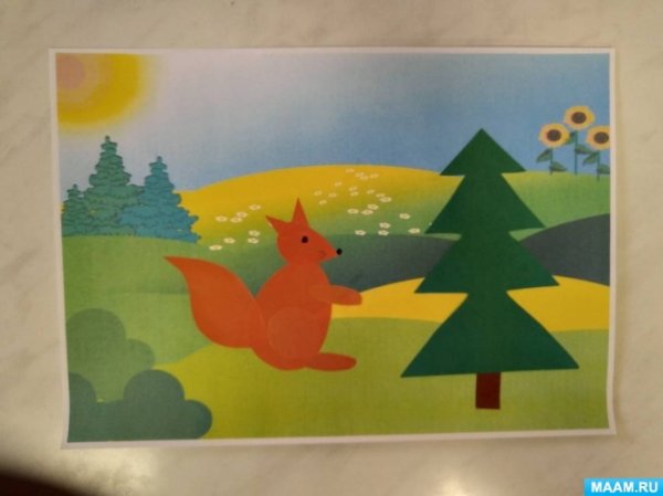 Аппликация белка в подготовительной группе