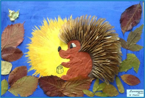 Аппликация из природного материала