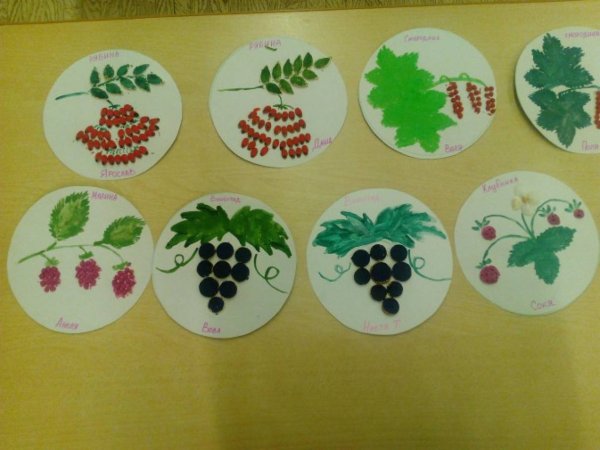 Рисование ягоды в старшей группе