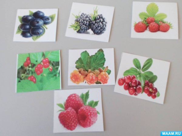 Ягоды средняя группа