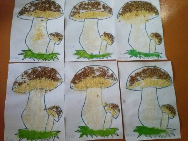 Рисование грибы в среднейруппе
