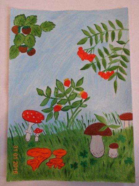 Рисование ягоды в старшей группе