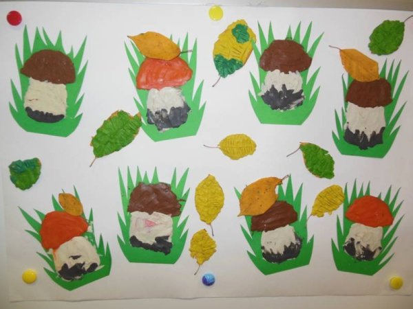 Грибы младшая группа