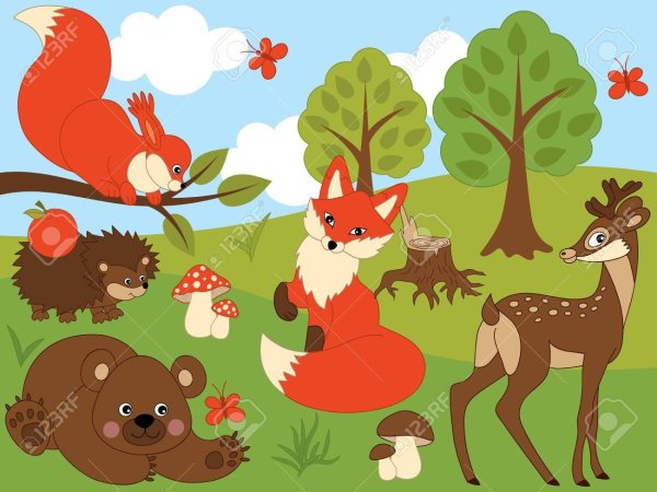 Животные леса для дошкольников