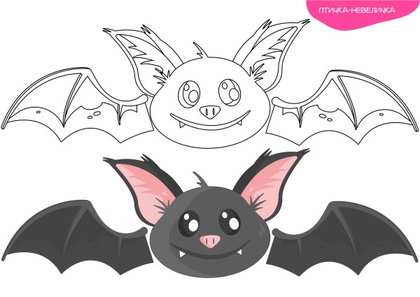 Летучая мышь рожица