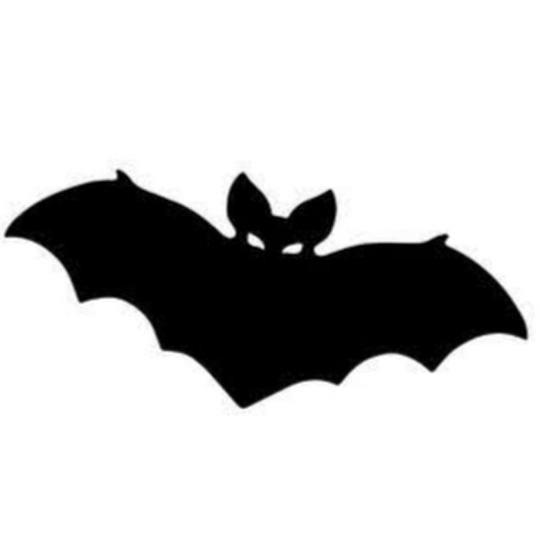 Аппликация с летучей мышью