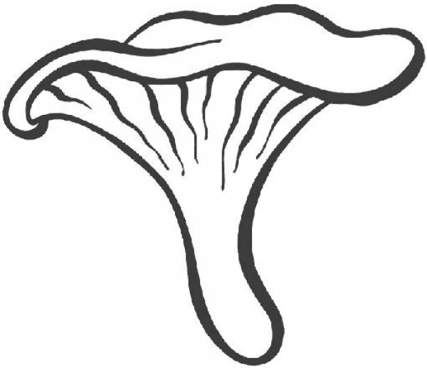 Грибы раскраска для детей