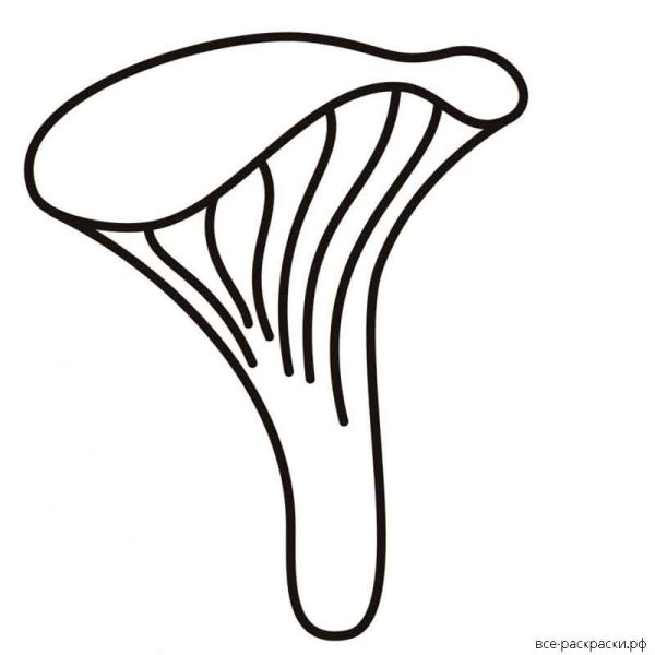 Гриб Лисичка раскраска для детей