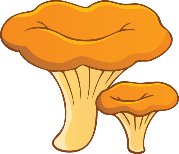 Лисичка гриб рисованый