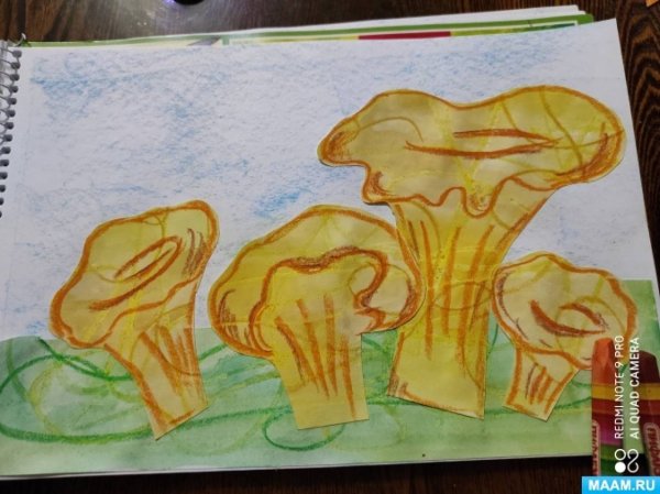 Аппликация грибы лисички