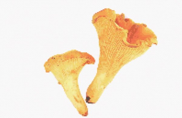 Простые вышивки крестом лисы