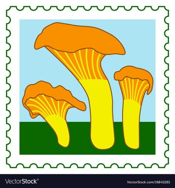 Аппликация грибы лисички