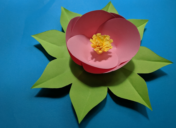 Красивые цветы из цветной бумаги