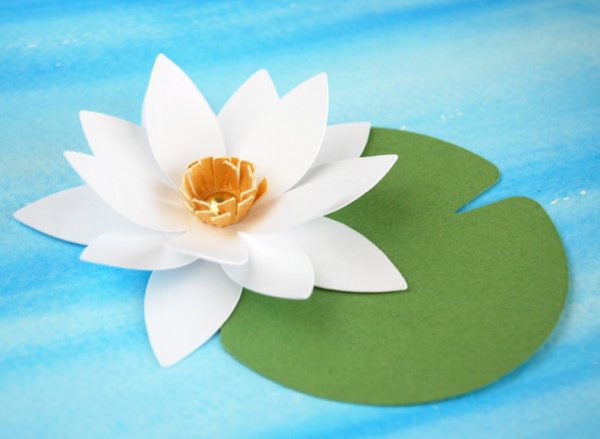 Лилия и кувшинка из бумаги