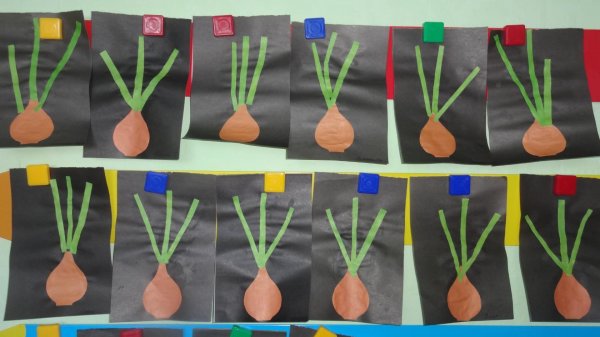 Посадка лука в детском саду