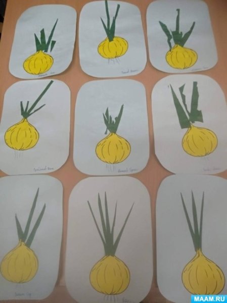 Рисование лук в младшей группе