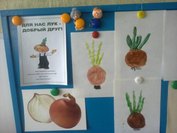 Посадка лука в детском саду младшая группа