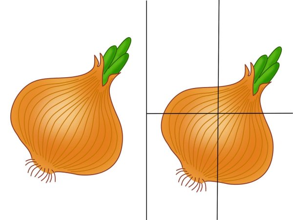 Пазл "овощи разрезные "
