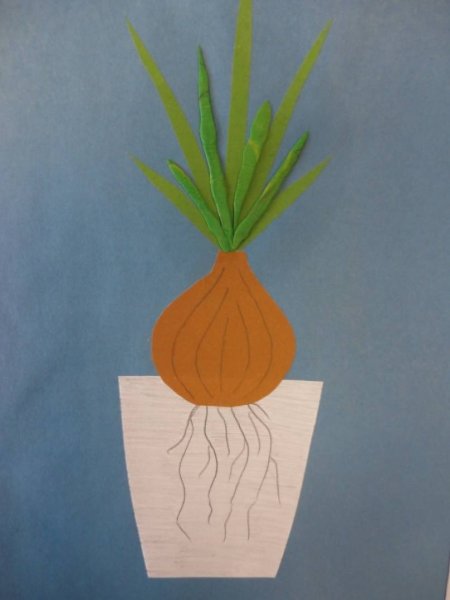 Аппликация на тему лук в старшей группе