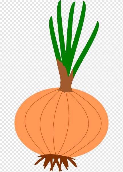 Лук рисунок