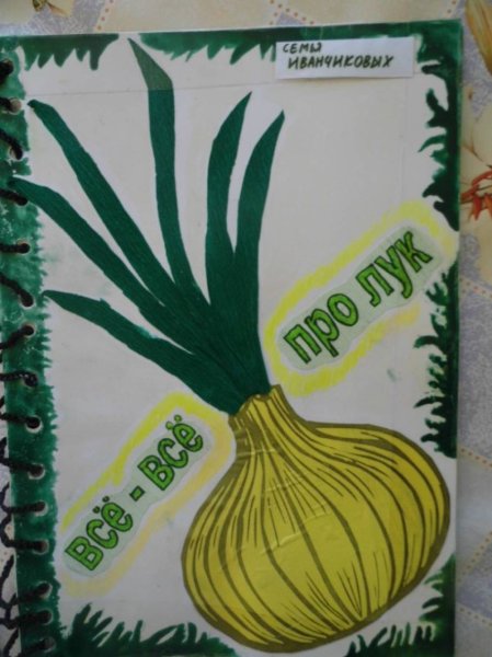 Аппликация зеленый лук