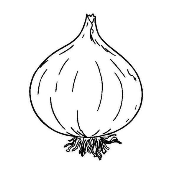 Лук раскраска