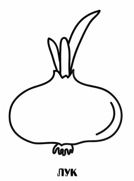 Лук раскраска для детей