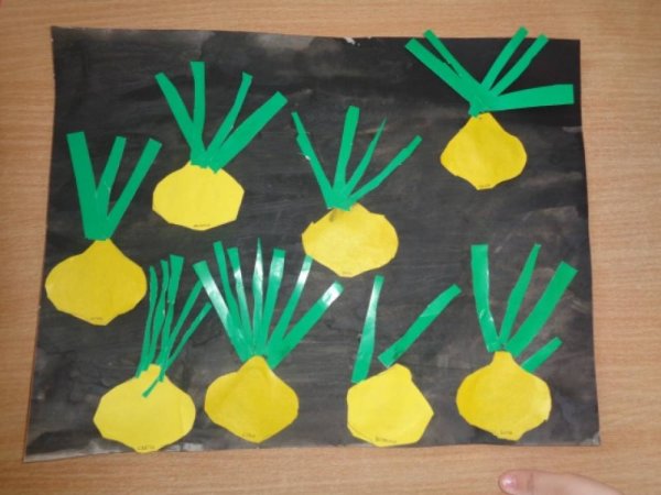 Аппликация лук в средней группе