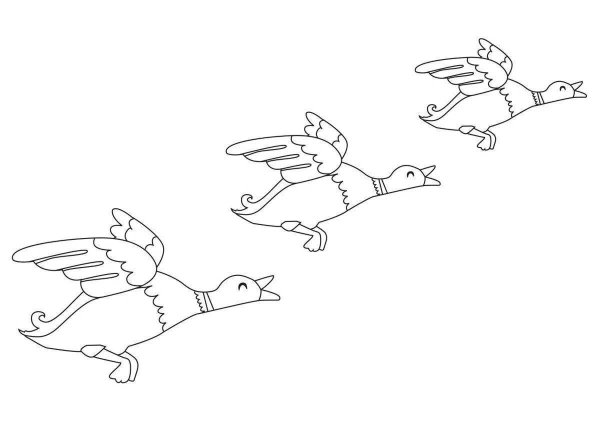 Лягушка путешественница раскраска для детей