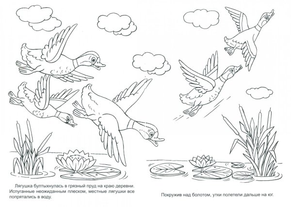 Разукрашки лягушка путешественница