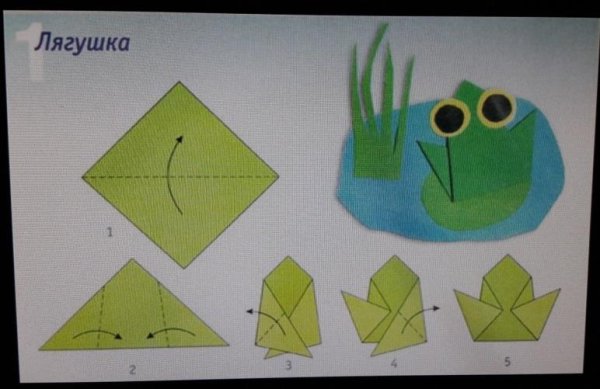 Конструирование лягушка в подготовительной группе
